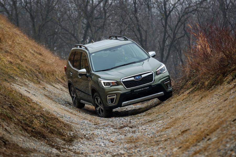  Subaru Forester e-Boxer 2019 года  (WW) (фото 20 из 69)